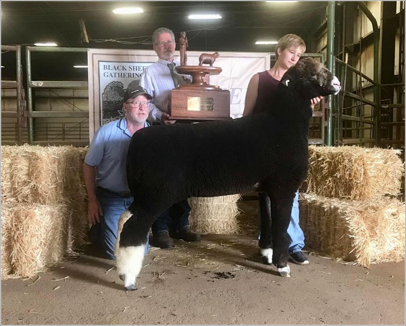 Judge Jacobsen with Anderson Farms, winner of the Glen Eidman Memorial Trophy for Best Sheep of Show. Photo: Amy Wolf.